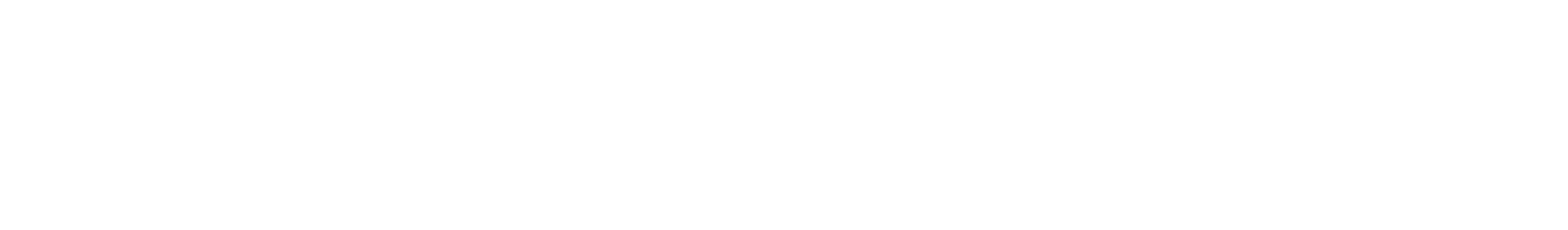 Verus Aviation Logo